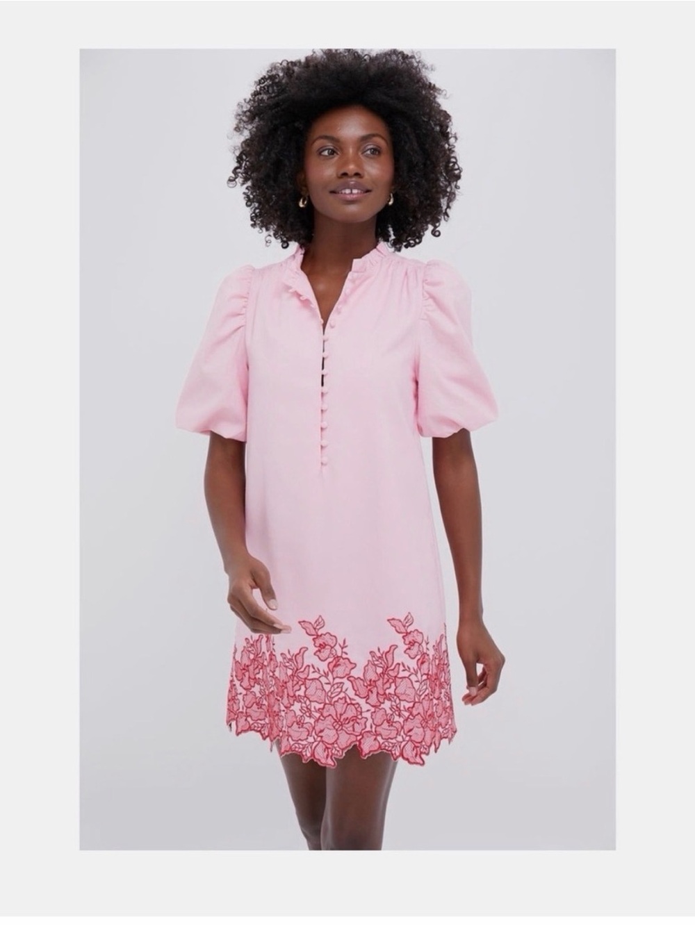 HYACINTH HOUSE Pink & Red Embroidered Mimi Mini Dress Size
